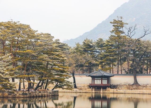 1948년 8월 15일 대한민국 정부 수립 과정 알아보기