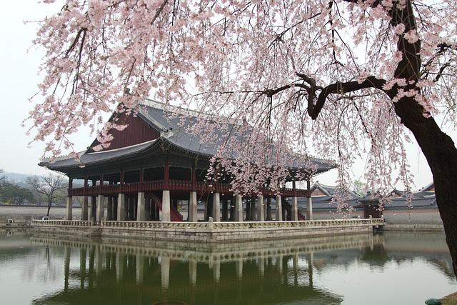 조선민주주의인민공화국 수립 경위와 체제 비교